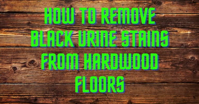 How to Remove Black Urine Stains from Hardwood Floors