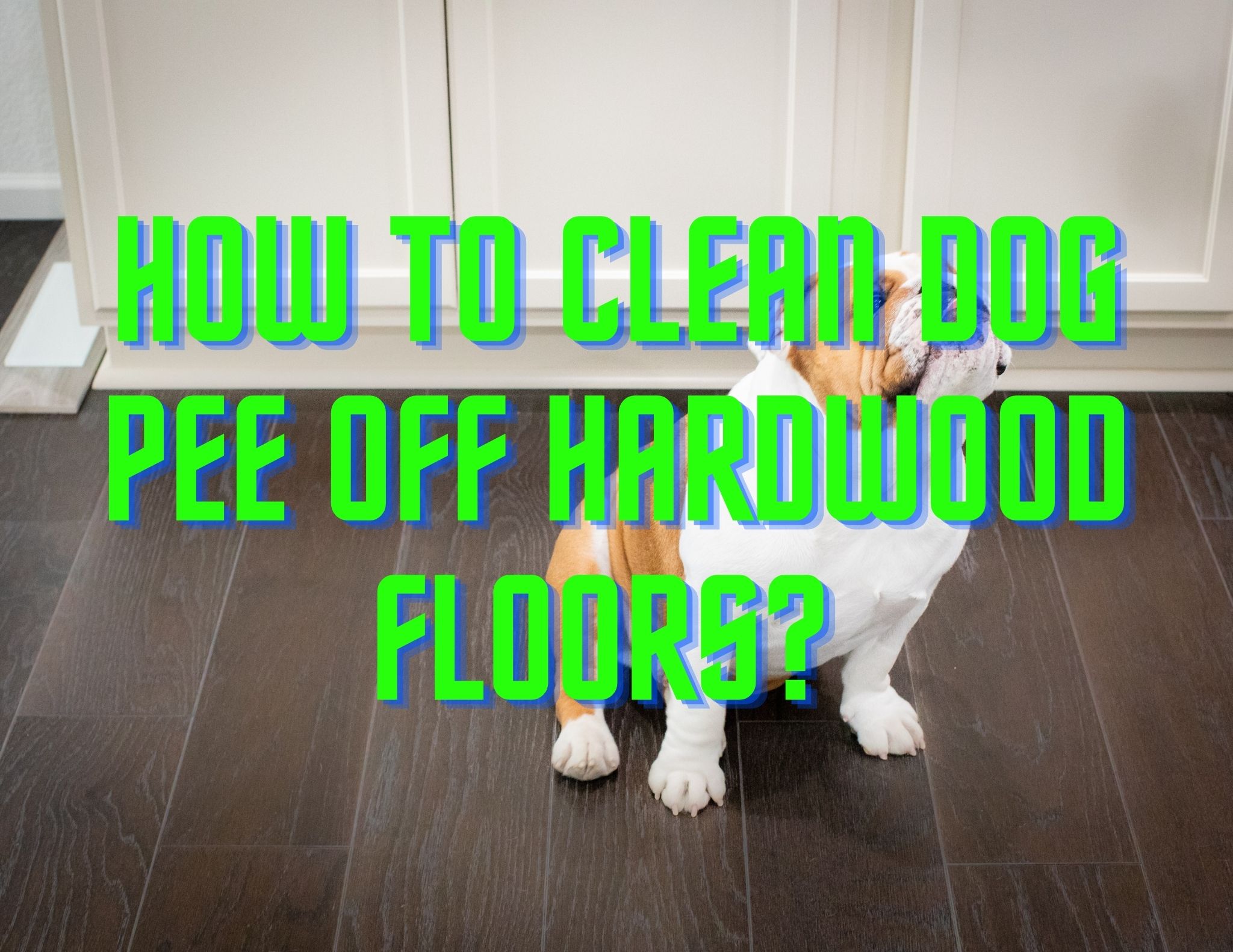 How to Clean Dog Pee Off Hardwood Floors