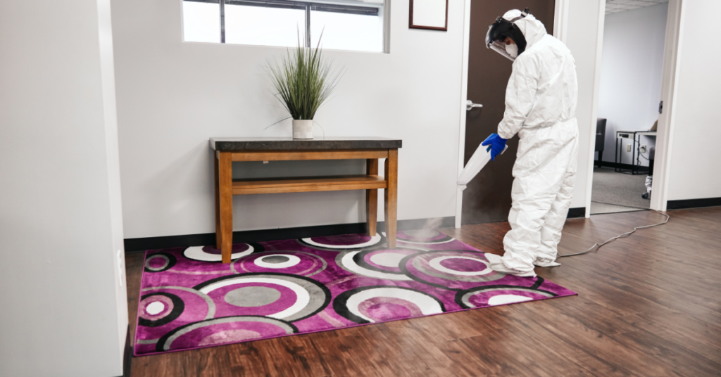 How To Clean Subfloor After Removing Carpet 