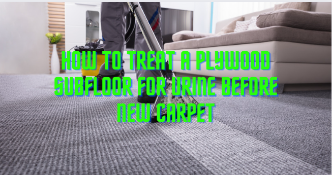 How To Treat A Plywood Subfloor For Urine Before New Carpet